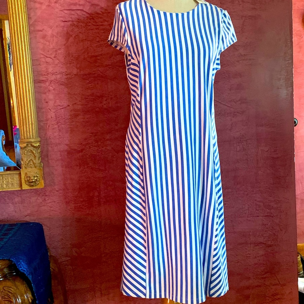 COPY - J.McLaughlin dress
